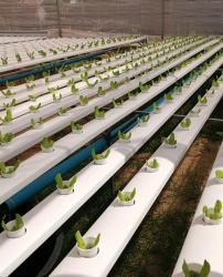 替换Our products 第5个