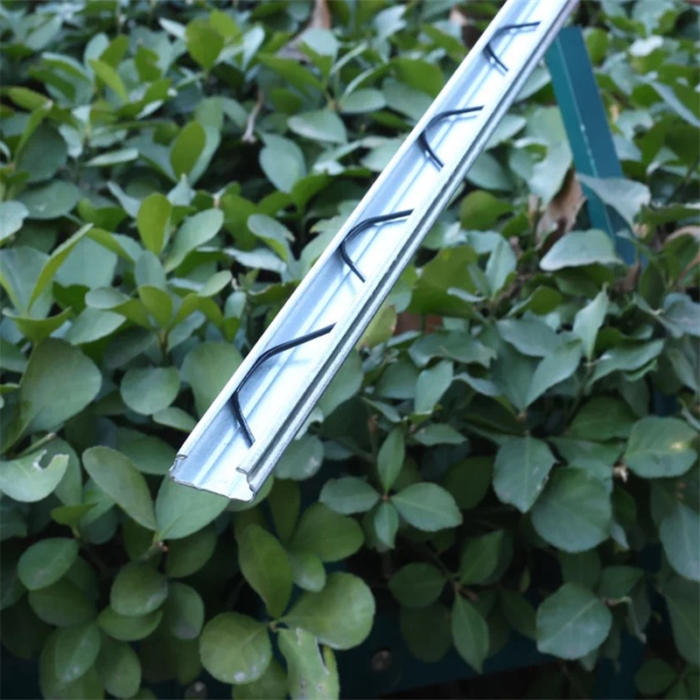 Card slot & Card spring