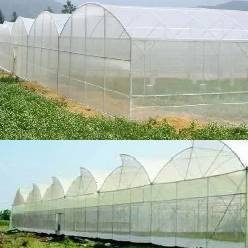 Insect net - Image 4