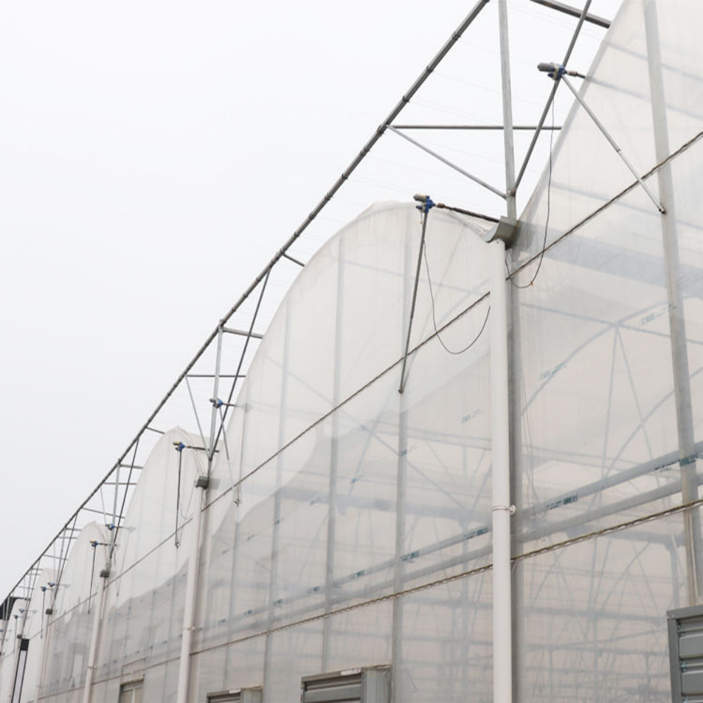 Multi-span Greenhouse - Image 4