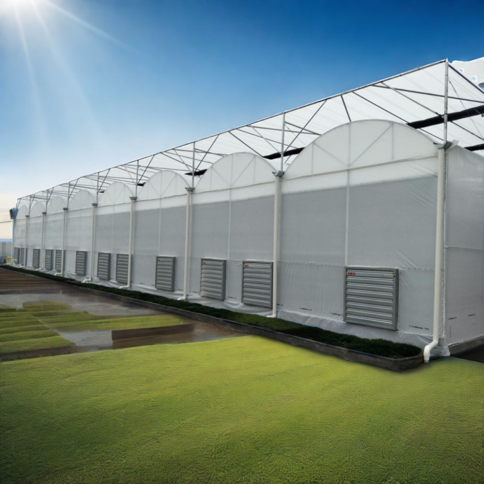 Multi-span Greenhouse