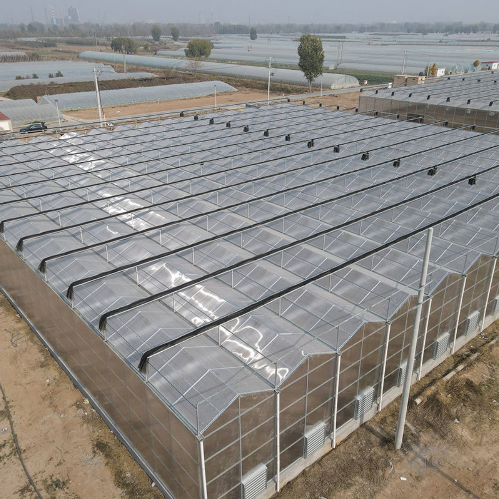 Multi-span Greenhouse - Image 3