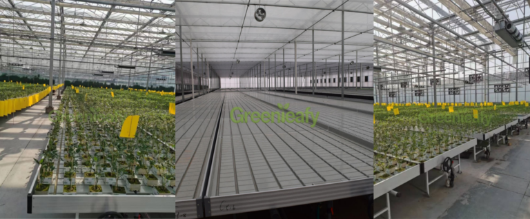 🌱 Why are more and more American farmers abandoning traditional irrigation? The secret lies in this “Ebb and Flow” system.