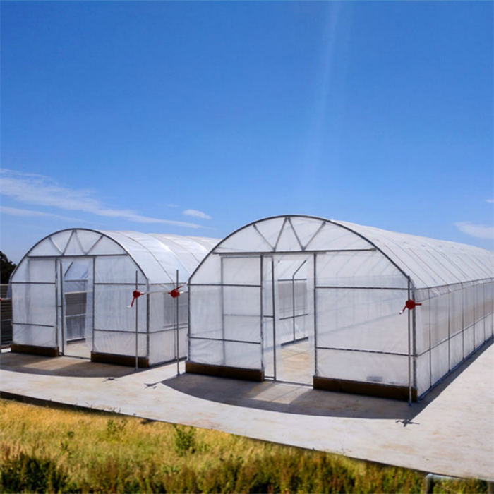 Single-span Greenhouse