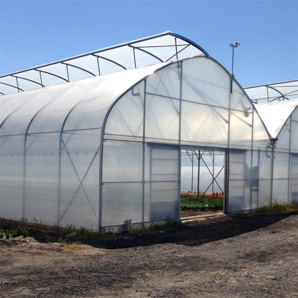 Single-span Greenhouse - Image 5