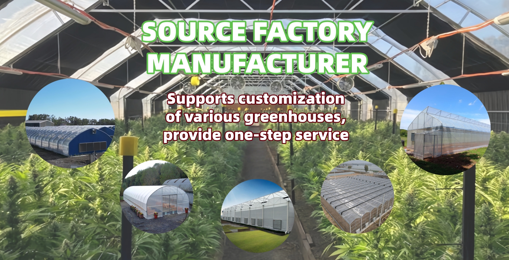 01-Greenleafy greenhouse