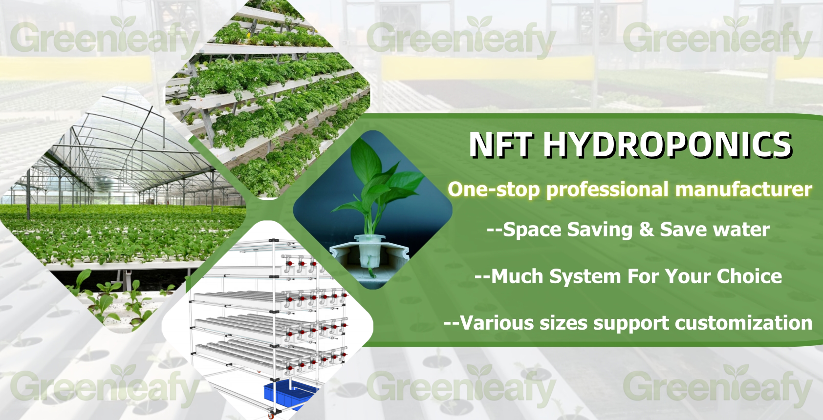 03-Greenleafy NFT