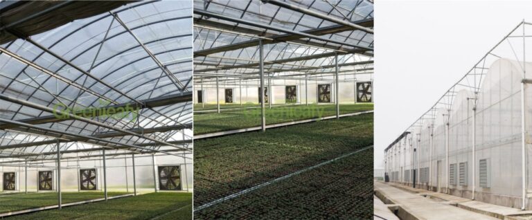 # Greenhouse Cost Worldwide: Full Investment & ROI Guide (2026)