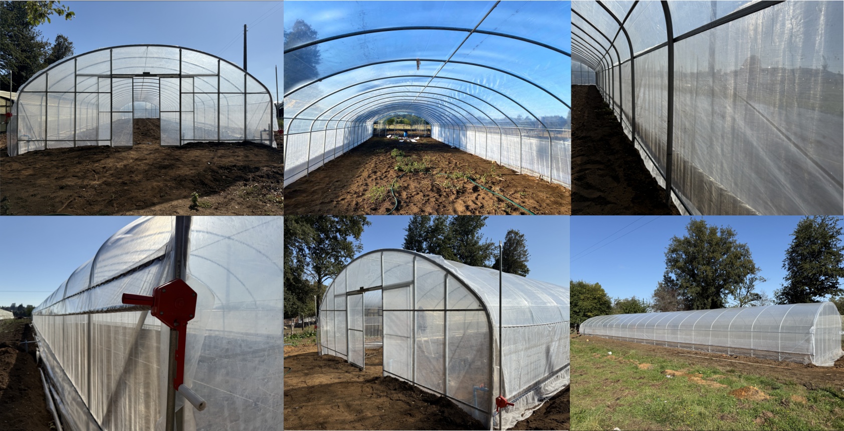 Feedback-photos-of single-arch-greenhouse-from-Chilean-customer