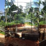 Galvanized steel agricultural greenhouse project in Sri Lanka