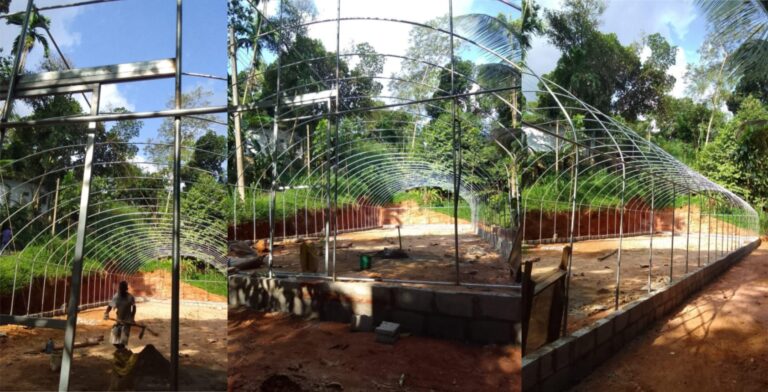 Sri Lanka Greenhouse Project Feedback – Tunnel Greenhouse Installation for Tropical Farming