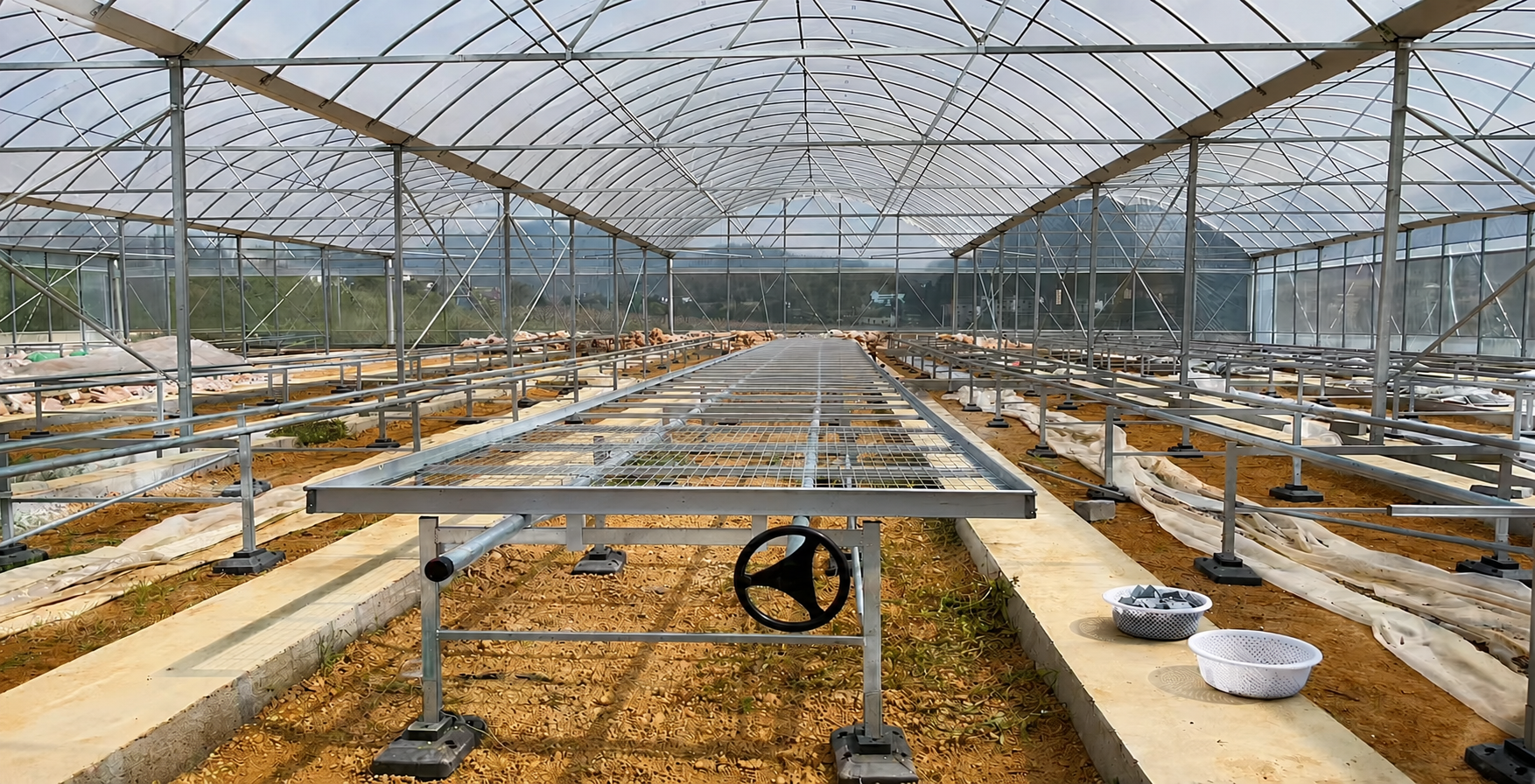 South Africa greenhouse project with wire mesh rolling seedbed system installed inside multi-span greenhouse structure