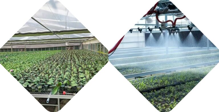 Mesh Seedbed System for Greenhouse Flower & Nursery Production | Chile Project Case Study