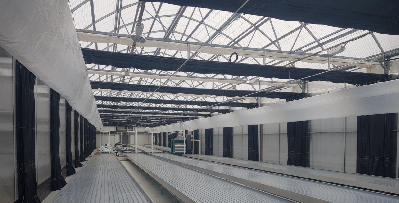 Aluminum ebb and flow benches installed in a commercial cannabis greenhouse
