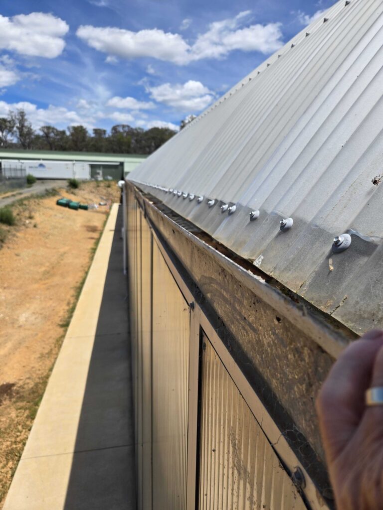 Triple blackout greenhouse designed for medical cannabis cultivation