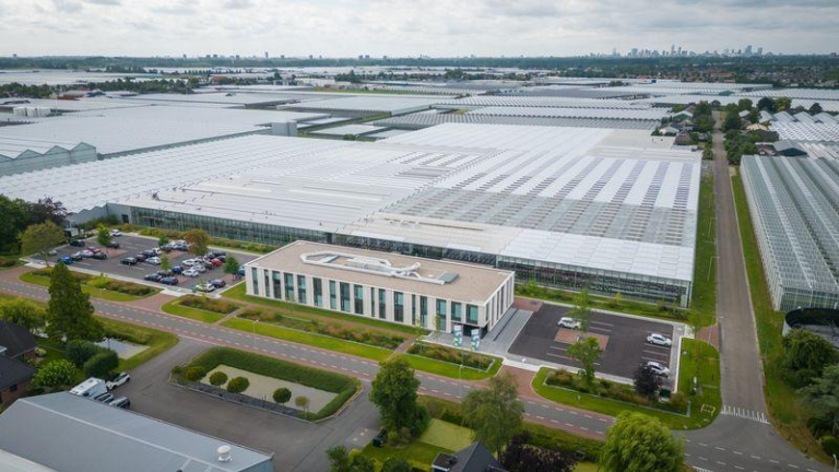Complete Guide to Commercial Greenhouses: Types, Benefits, and How to Choose the Right Greenhouse