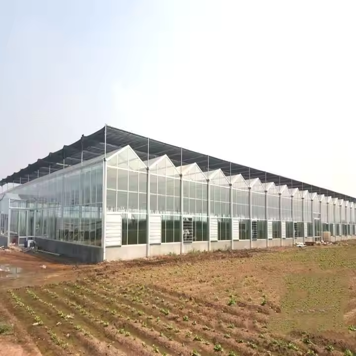 Modern polycarbonate greenhouse for commercial crop production and climate control farming