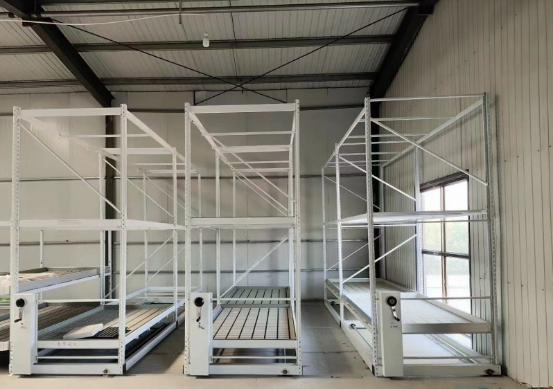 Double layer greenhouse seedbed system with two tier growing benches for commercial plant production