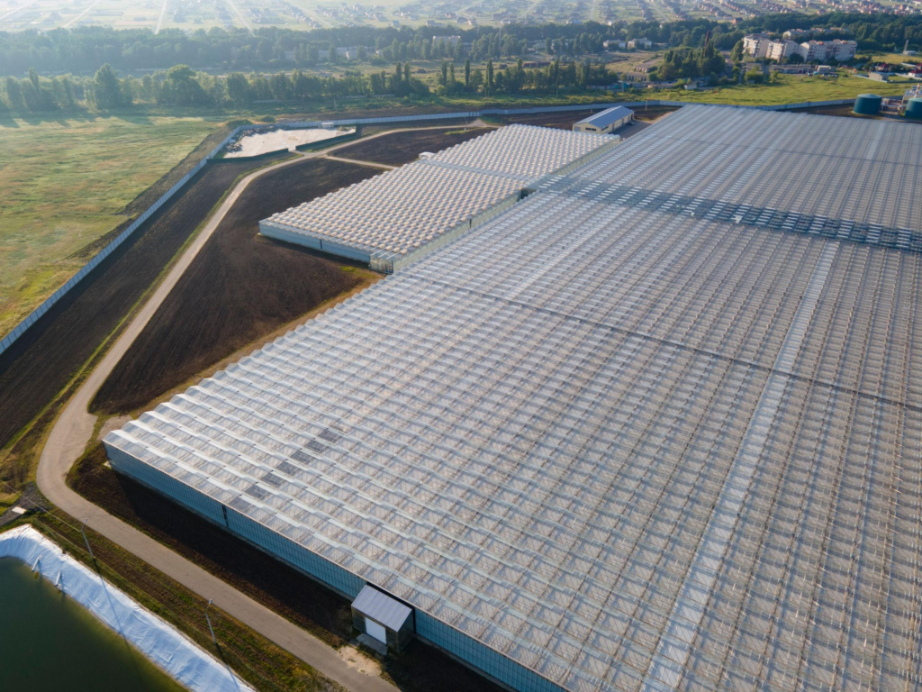 Large multi-span commercial greenhouse exterior for modern agricultural farming