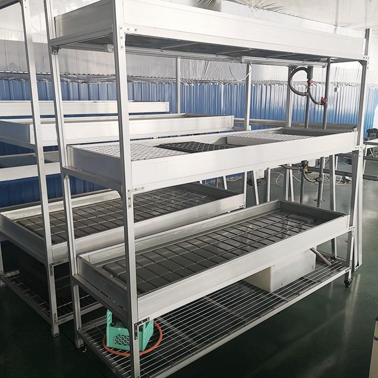 Commercial greenhouse project using multi layer seedbed system for efficient plant production