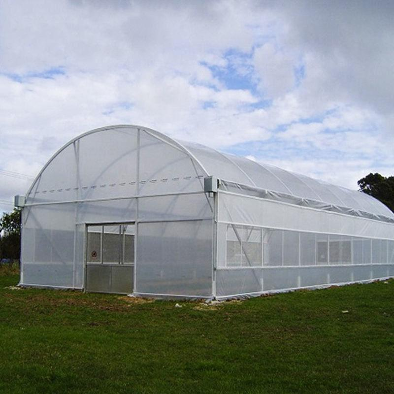 Single span plastic film greenhouse for vegetable cultivation and agricultural production
