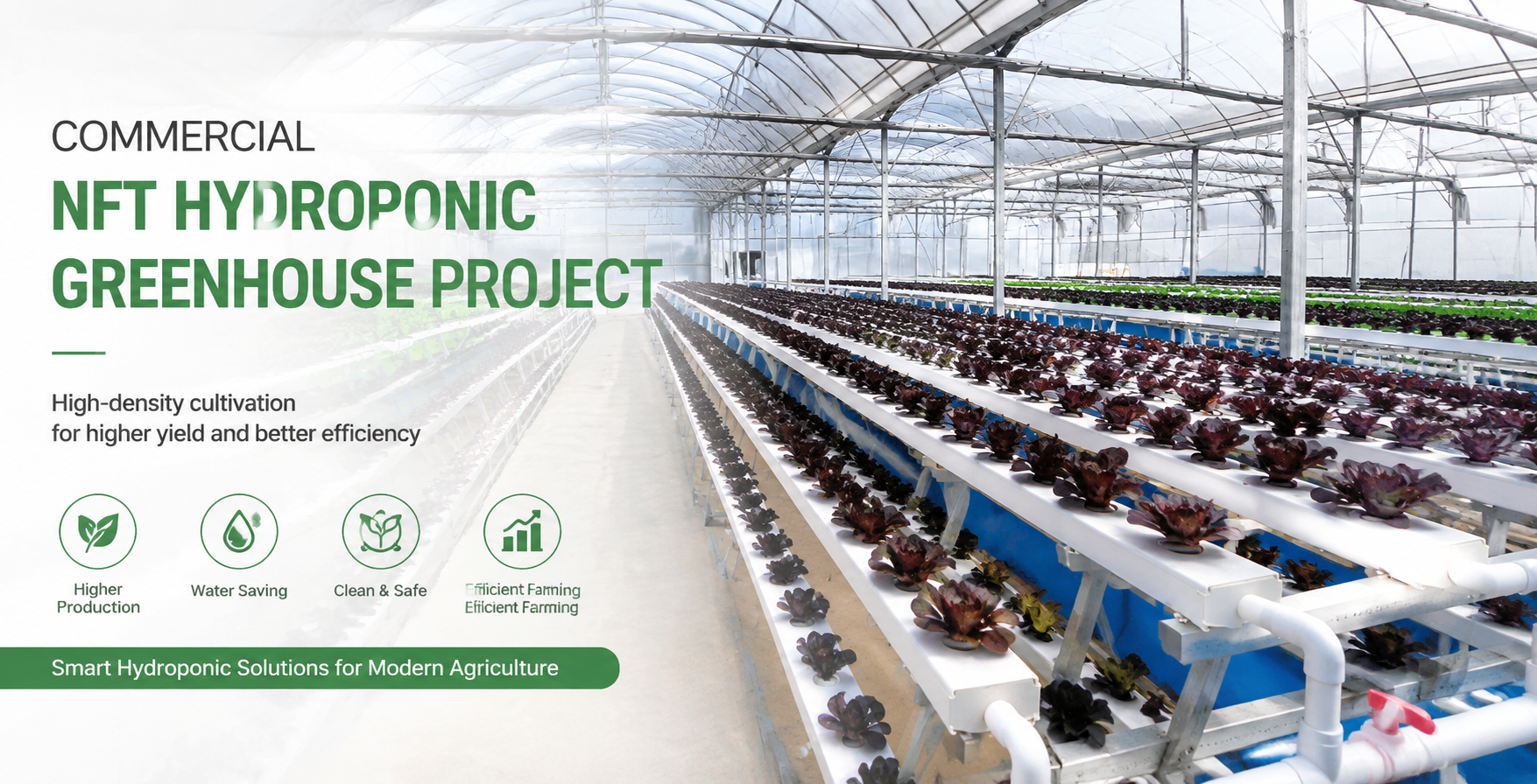 Commercial NFT hydroponic greenhouse project with multi-layer growing channels for lettuce production