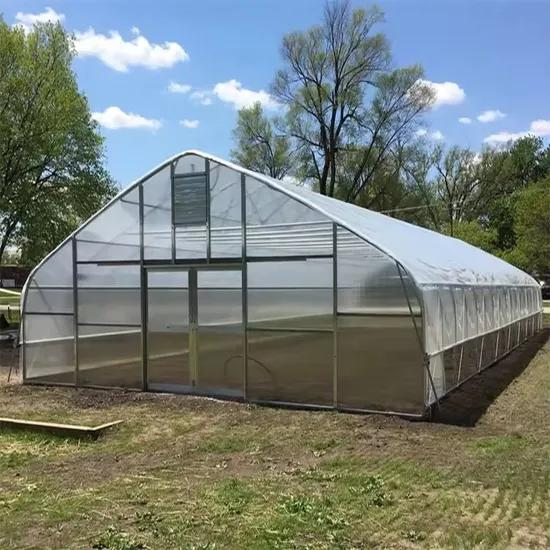 Gothic single span plastic film greenhouse for commercial vegetable farming
