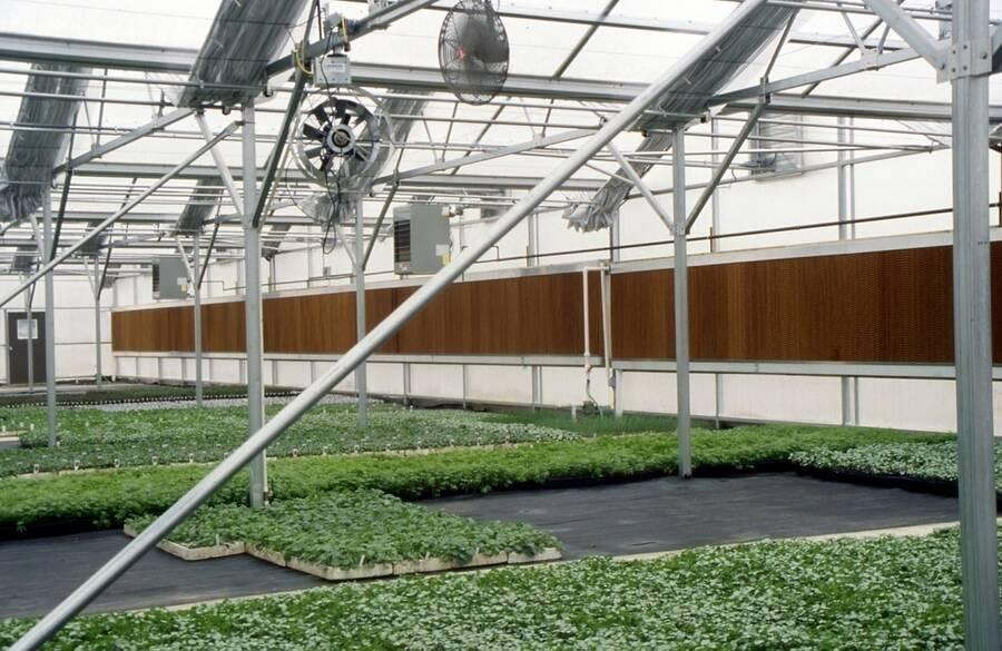 Greenhouse ventilation system with side vents and airflow control equipment