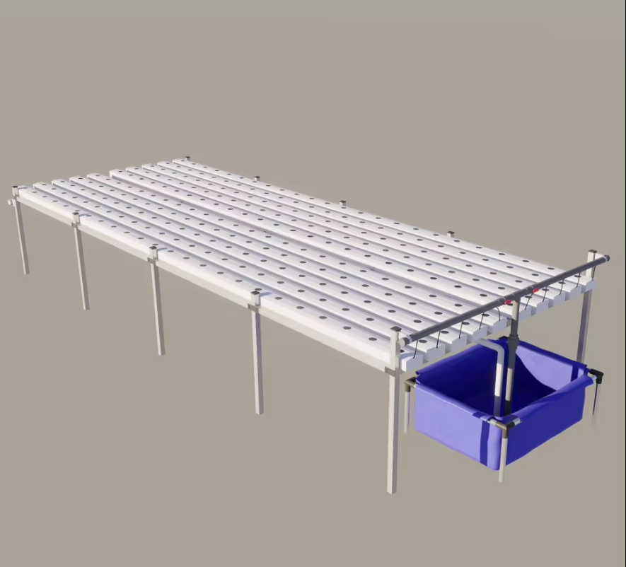 Flat single-layer NFT hydroponic system for lettuce cultivation