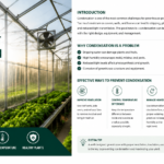 How to prevent condensation in a greenhouse with proper ventilation, humidity control, anti-drip film, and air circulation systems