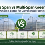 Single span vs multi-span greenhouse for commercial farming