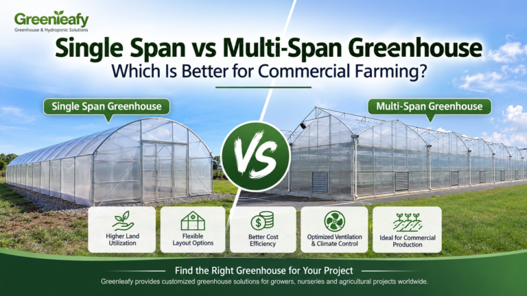 Single Span vs Multi-Span Greenhouse: Which Is Better for Commercial Farming?