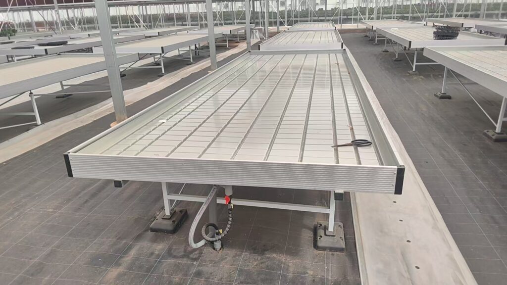 Phalaenopsis orchid greenhouse with ebb-and-flow benches in Yunnan, China