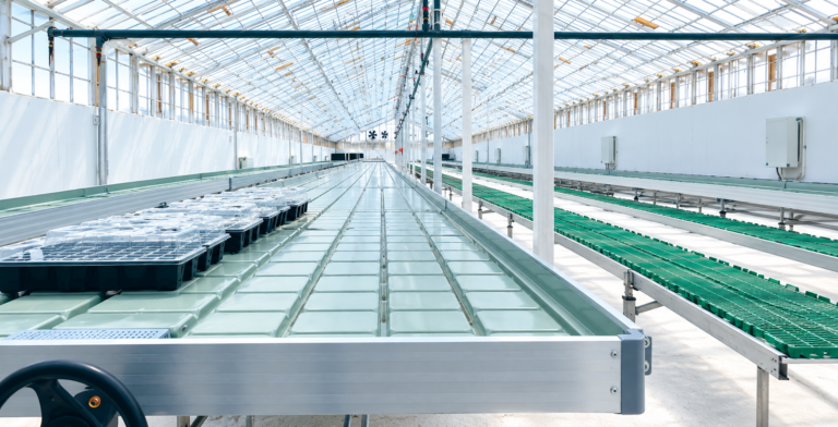 Ukraine Ebb and Flow Bench Project