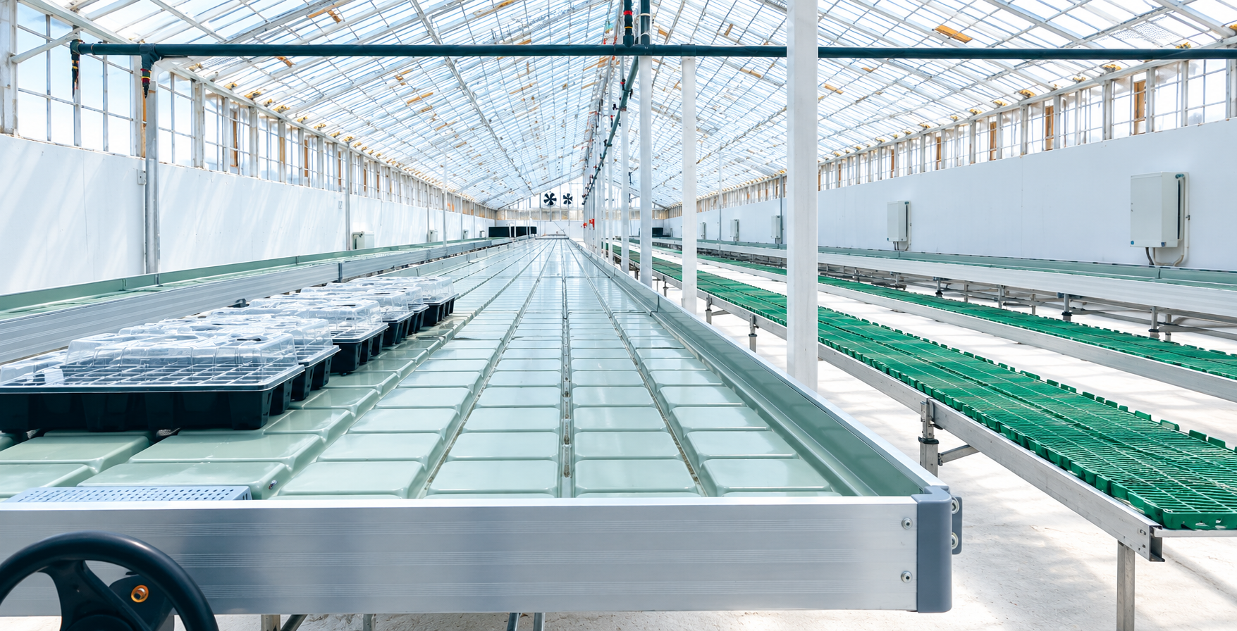 Movable ebb and flow growing benches inside a commercial greenhouse