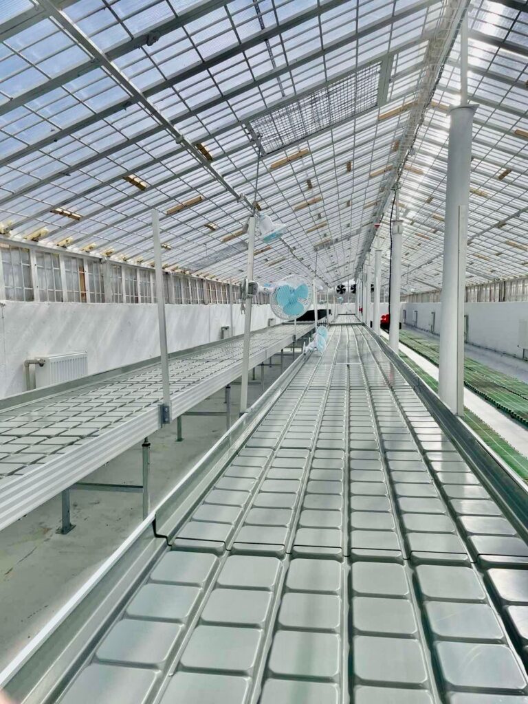 Integrated ebb and flow trays on greenhouse growing benches