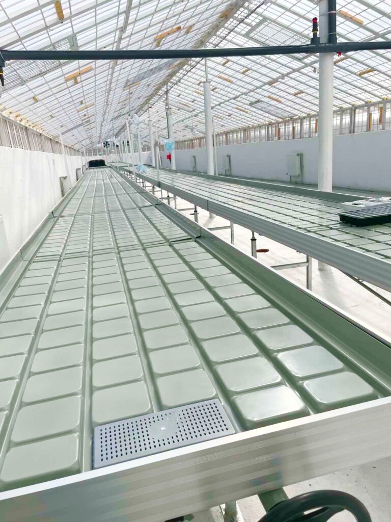 Installed ebb and flow benches in a medical cannabis greenhouse in Ukraine