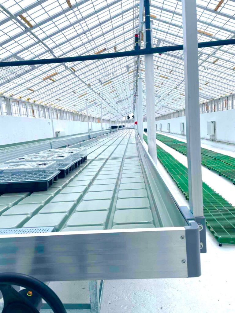 Close-up of movable ebb and flow bench frame and growing trays